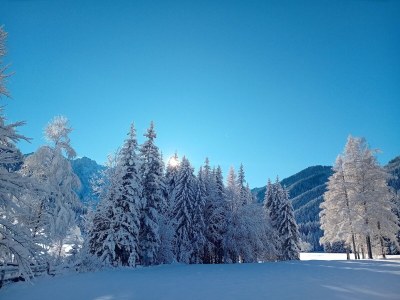Apartment Apartment in Bodental near Ski Slopes - Environment photo 25