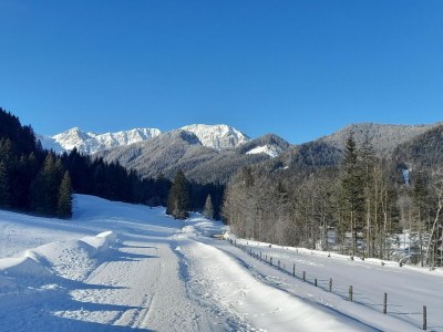 Apartment Apartment in Bodental near Ski Slopes - Environment photo 28