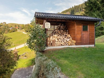 Holiday house Almhütte in Eberstein nahe Skigebiet - Outdoor photo 6