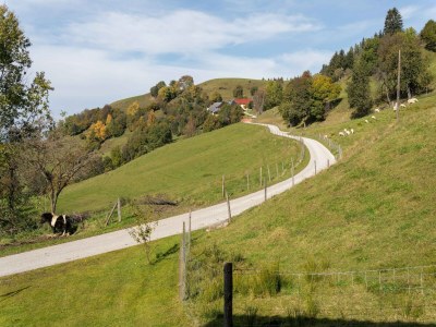 Holiday house Almhütte in Eberstein nahe Skigebiet - Outdoor photo 7