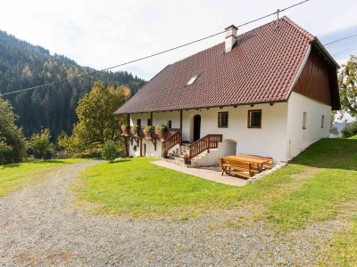 Holiday house Chalet in Eberstein near Saualpe Ski - Outdoor photo 5