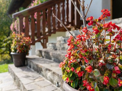 Holiday house Chalet in Eberstein near Saualpe Ski - Outdoor photo 30