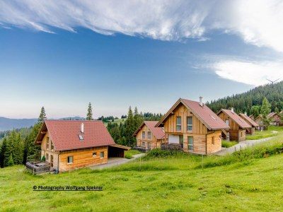 Holiday house Chalet in Alps with Private Sauna - Outdoor photo 6