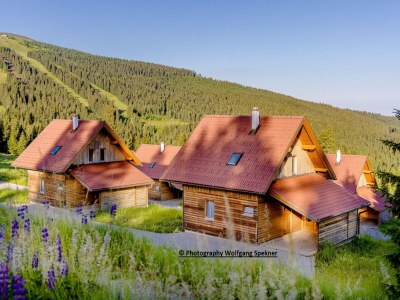 Holiday house Chalet in Alps with Private Sauna - Outdoor photo 11