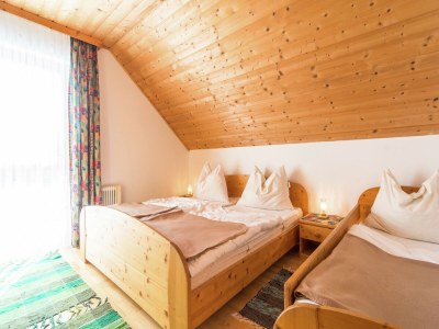 Holiday house Chalet in Alps with Private Sauna - Features photo 19