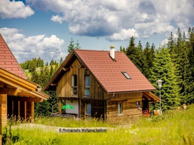 Holiday house Chalet in Alps with Private Sauna - Environment photo 29
