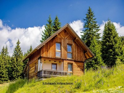 Holiday house Chalet in Alps with Private Sauna - Environment photo 36