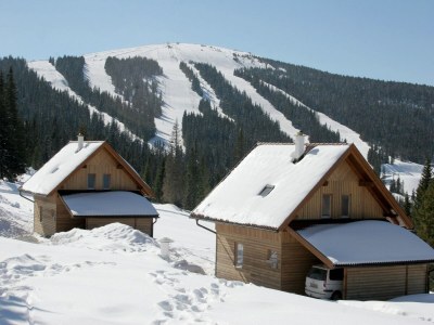 Holiday house Chalet in Alps with Private Sauna - Environment photo 38