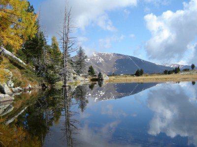 Apartment Wohnung in Afritz nahe Skipisten - Environment photo 35