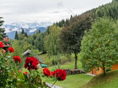 Apartment Chalet in Arriach nahe Gerlitzen Alpe - Outdoor photo 9