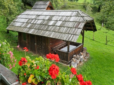 Apartment Chalet in Arriach nahe Gerlitzen Alpe - Outdoor photo 10