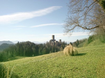 Holiday house Ferienhaus in Liebenfels in Kärnten mit Sauna - Outdoor photo 3