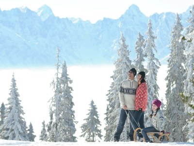 Apartment Wohnung in Liebetig nahe Gerlitzen Skigebiet - Environment photo 25