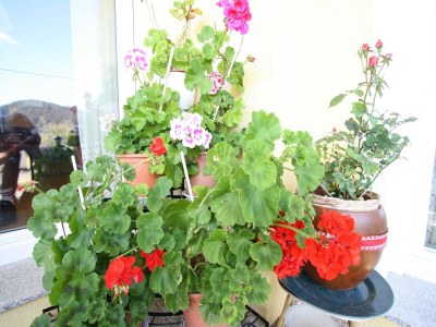 Apartment Wohnung in Liebetig nahe Gerlitzen Skigebiet - Outdoor photo 29