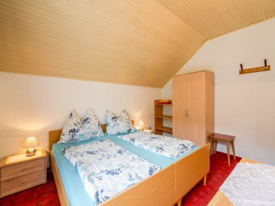 Apartment Apartment in Tröpolach near Nassfeld - Features photo 17