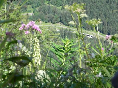 Apartment Apartment in Tröpolach near Nassfeld - Environment photo 25