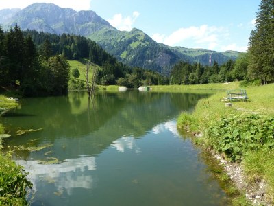 Apartment Apartment in Tröpolach near Nassfeld - Environment photo 27