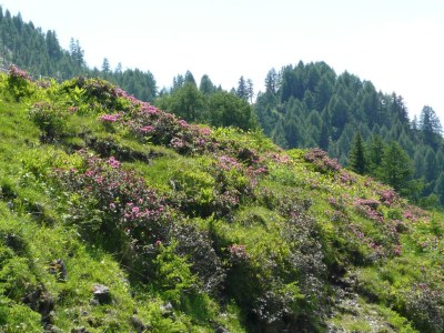 Apartment Apartment in Tröpolach near Nassfeld - Environment photo 29