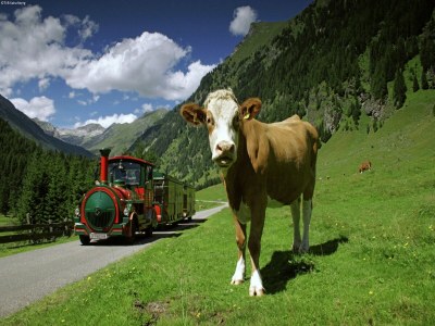 Holiday house Holiday Home in Rennweg near Ski Slopes - Environment photo 30