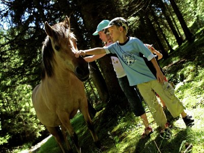 Holiday house Holiday Home in Rennweg near Ski Slopes - Environment photo 35
