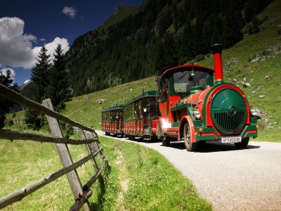 Apartment Apartment in Katschberg near Ski Slopes - Environment photo 32