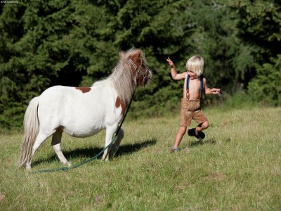 Apartment Apartment in Katschberg near Ski Slopes - Environment photo 37