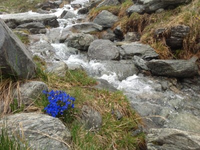 Apartment Wohnung in Rennweg nahe Katschberg Skigebiet - Environment photo 15