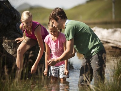 Apartment Apartment Leogang near Ski Slopes - Environment photo 36