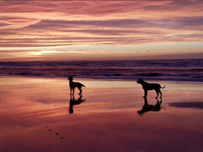 Holiday apartment Life@sea - Environment photo 7