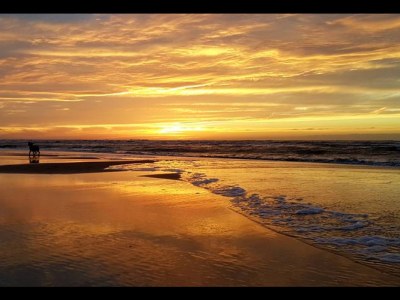 Holiday apartment Life@sea - Environment photo 8