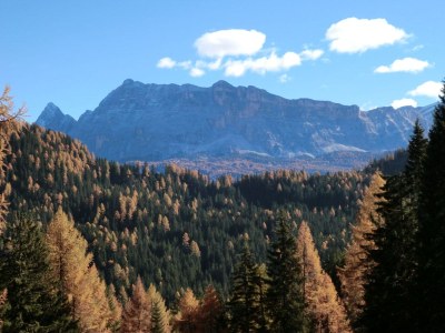 Holiday apartment A FossÃ© - Environment photo 15