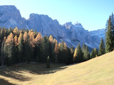 Holiday apartment A FossÃ© - Environment photo 17