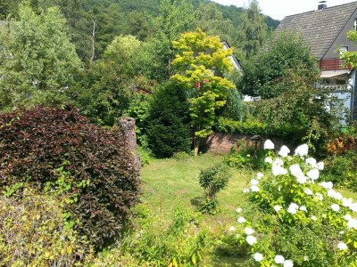 Holiday house Eifelhaus4you - Outdoor photo 4