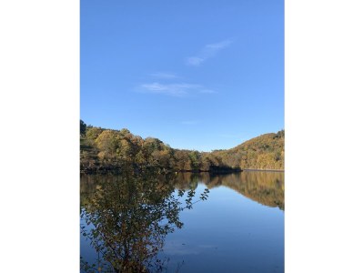 Holiday house Eifelhaus4you - Environment photo 28