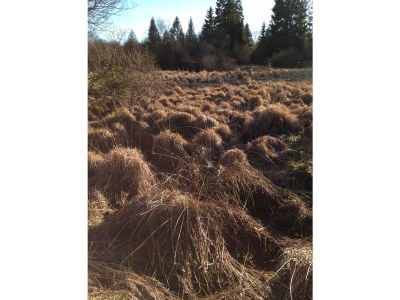 Holiday house Eifelhaus4you - Environment photo 32