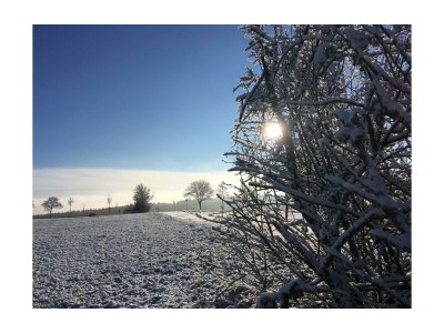 Holiday house Eifelhaus4you - Environment photo 33