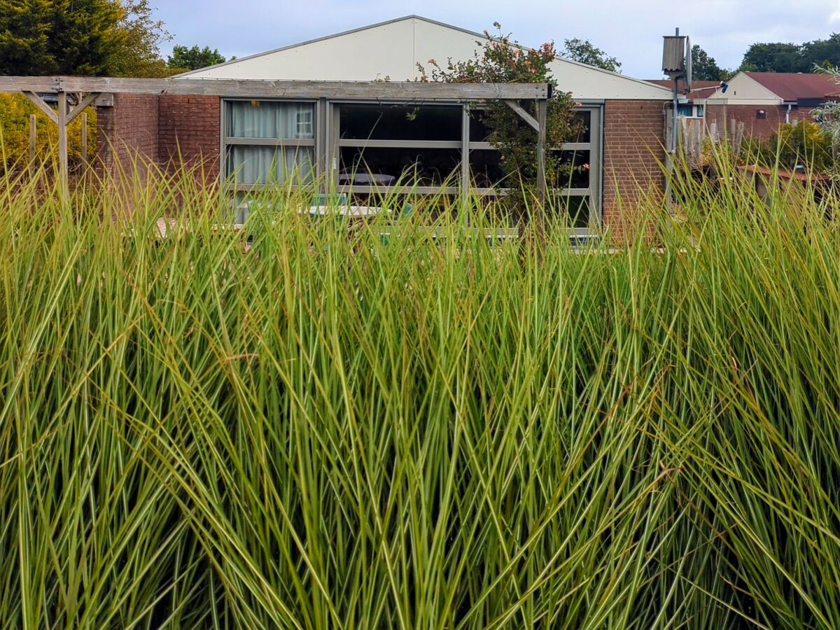 Holiday house Little Break - Outdoor photo 5