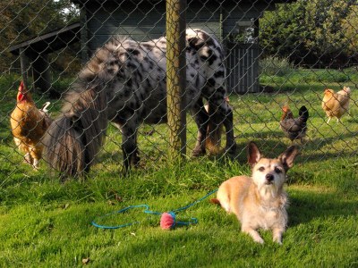 Holiday house Little Break - Environment photo 22