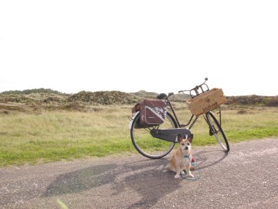 Holiday house Little Break - Environment photo 25