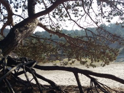 Holiday house Little Break - Environment photo 26