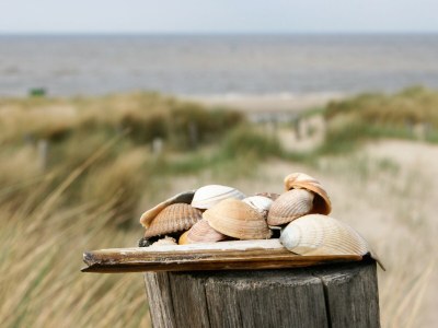 Holiday house Little Break - Environment photo 30