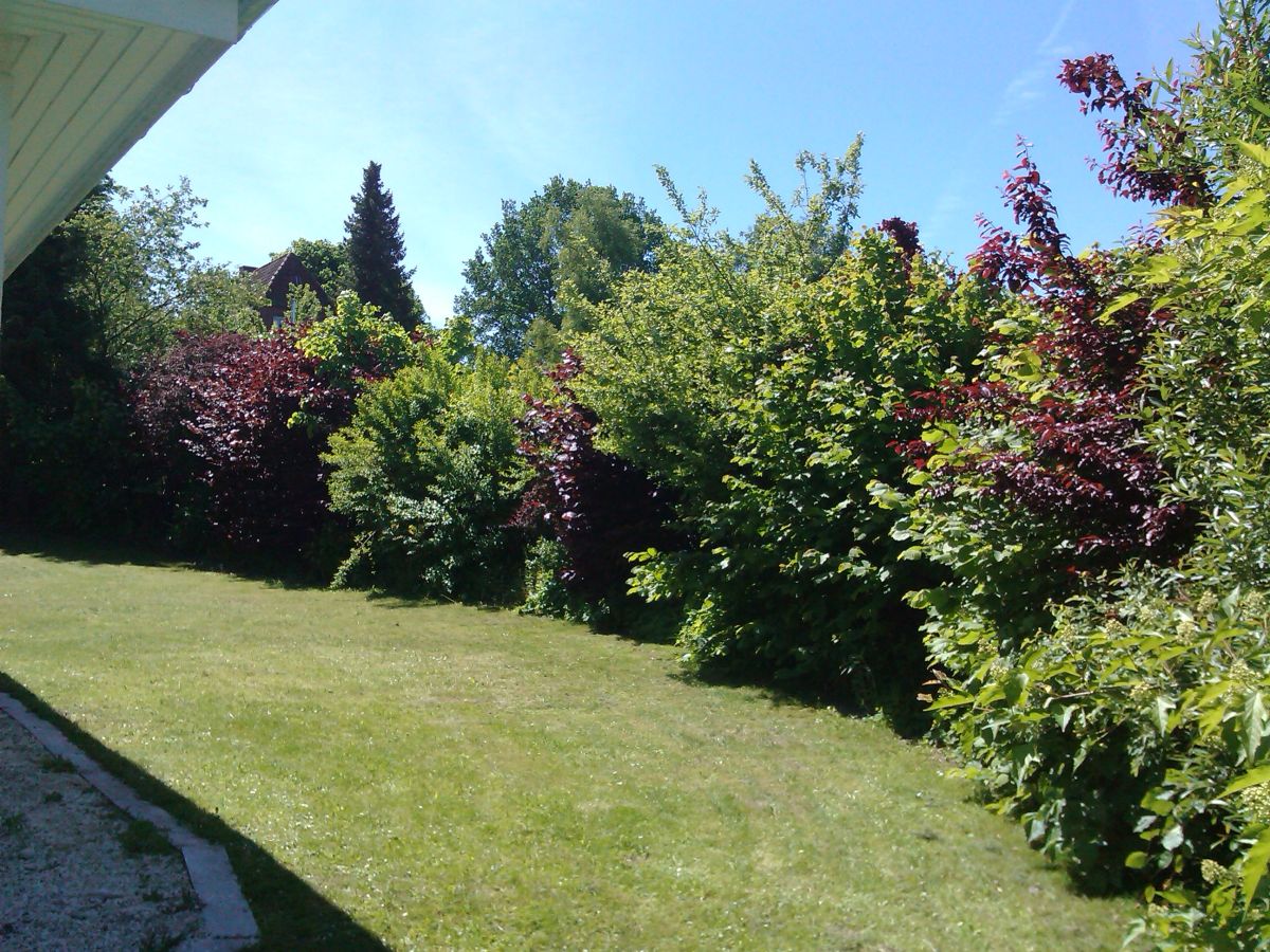 Bungalow Ostseeferienhaus Sonnenschein - Outdoor photo 2