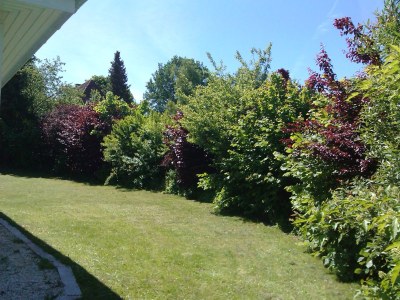 Bungalow Ostseeferienhaus Sonnenschein - Outdoor photo 2