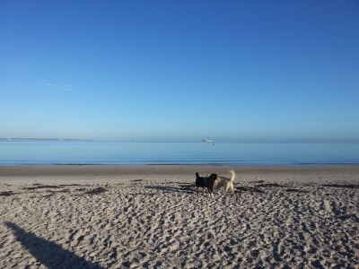 Bungalow Ostseeferienhaus Sonnenschein - Environment photo 25