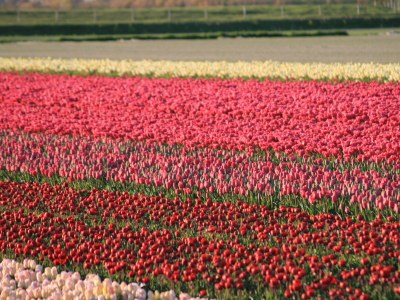 Apartment Dorpsweg 18 Apartment 4 - Environment photo 17