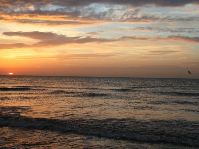 Apartment Dorpsweg 18 Apartment 4 - Environment photo 21