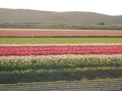 Apartment Dorpsweg 18 Apartment 4 - Environment photo 15