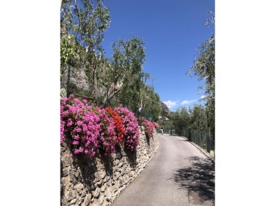 Apartment Bouganville - Document photo 42