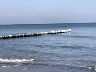 Holiday house Dünenhof 3 - Environment photo 35