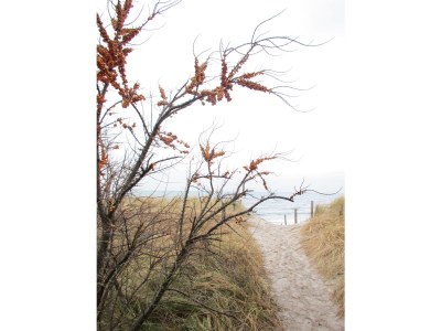 Holiday house Dünenhof 3 - Environment photo 38